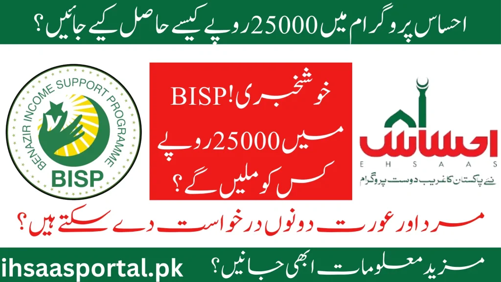 8171 ehsaas program 25000 bisp 