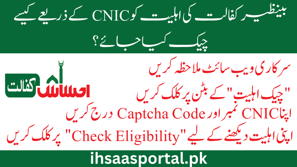 Benezir Kafalat Program Online Check By CNIC
